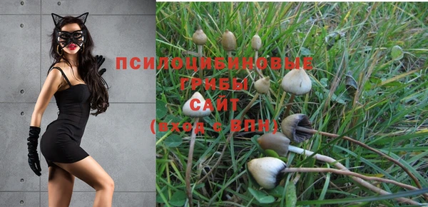 MDMA Premium VHQ Приозерск