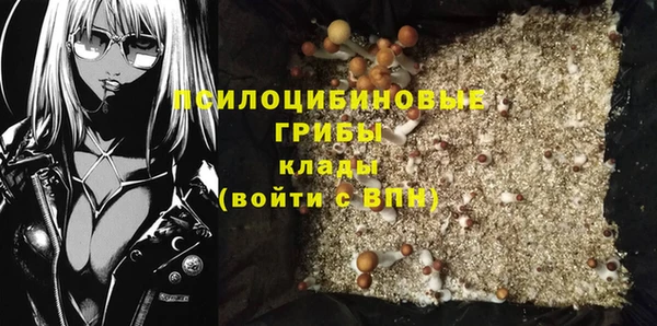 Альфа ПВП Аркадак