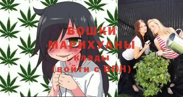 spice Арсеньев