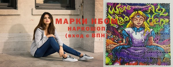 Альфа ПВП Аркадак
