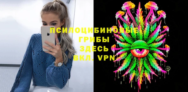 spice Арсеньев
