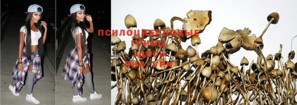 spice Арсеньев