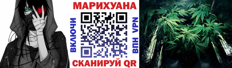 Марихуана OG Kush  наркотики  Пласт 
